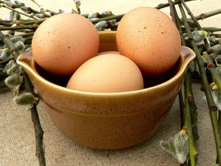 eggs