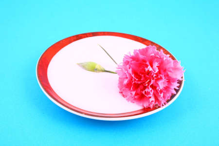 cream faceの写真素材