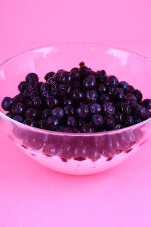 Healthy breakfast of yogurt and berriesの写真素材