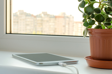 Smartphone and green flower in a vase on the windowの写真素材