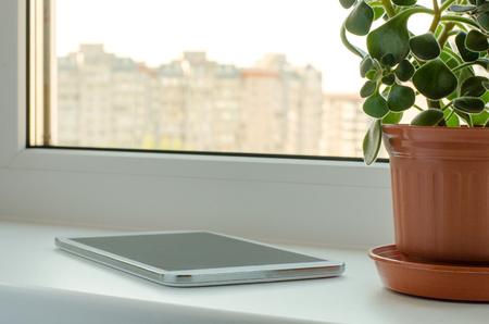 Smartphone and green flower in a vase on the windowの写真素材