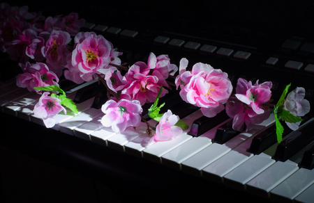Artificial flowers. Music synthesizer. Close upの写真素材