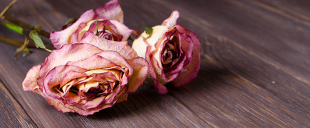 Dry roses on wooden background. Close up. Horizontal photoの写真素材