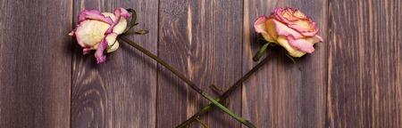 Dry roses on wooden background. Flat top view. Horizontal photoの写真素材