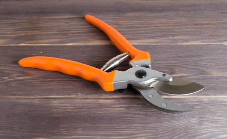 Gardening tool. Pruning shears for trimming bushes. Wooden backgroundの写真素材