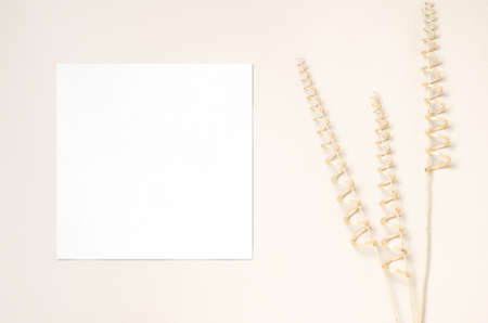 White invitation cards mockup and a decorative branch from a dry vine. Beige background. Copy space.