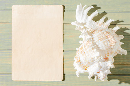 Seashell and old parchment on a wooden background. The concept of a summer vacation at sea. Copy space.の写真素材