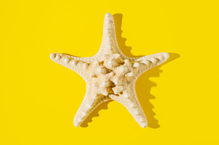 A large starfish on a yellow background.の写真素材