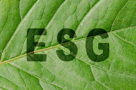 ESG. Environmental social and governance concept. The text on the green leaf of the plant.の写真素材