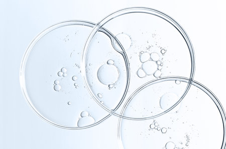 The texture of a cosmetic serum or body gel in a Petri dishの写真素材