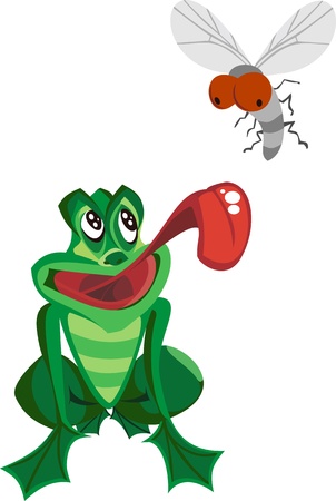 Frog Catching Bug  のイラスト素材