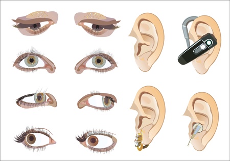 eyes and earsのイラスト素材