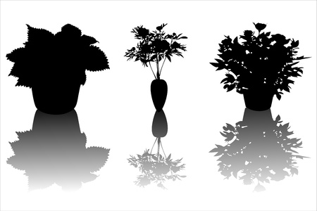 flower silhouetteのイラスト素材