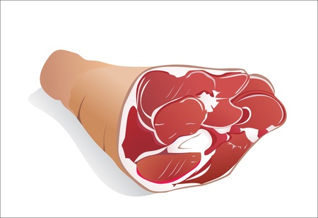 raw pork (leg) isolated on white backgroundのイラスト素材