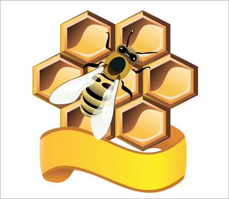 bee and honeycombsのイラスト素材
