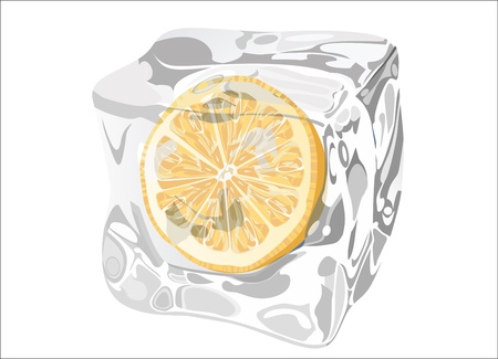 Ice with orangeのイラスト素材