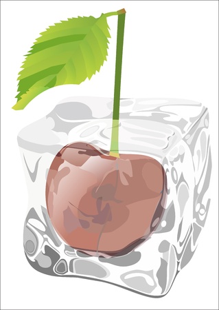 Cherry frozen in ice cubeのイラスト素材