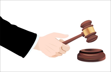 Gavel in hand on white  Vector のイラスト素材