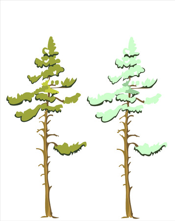 coniferous treeのイラスト素材