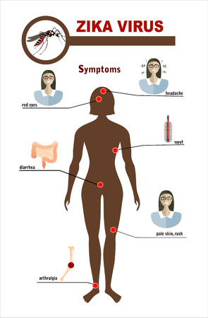 Flat design illustration concepts Zika virus symptoms infographics with figures and textのイラスト素材
