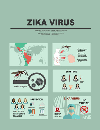 Zika virus infographic elements - prevention, transmission, vaccine, symptoms, microcephaly, protection measures. Zika virus disease. Zika virus design template. Isolated vector illustration.のイラスト素材