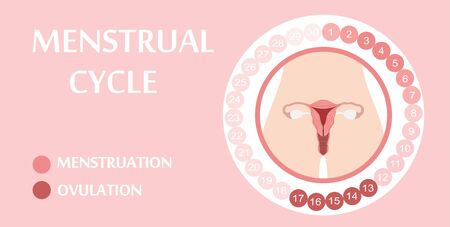 Menstrual cycle. Planner Design.のイラスト素材