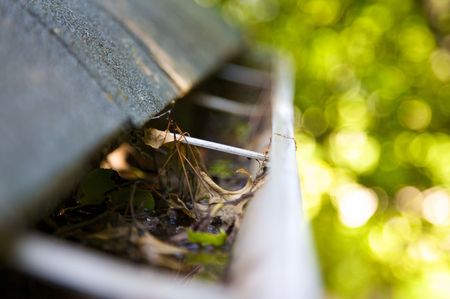 A fall tradition - cleaning the gutters of leaves. Here, we see them clogging the gutters of a traditional home. Could be used for advertising/clean up articles/etc. Narrow DOFの写真素材