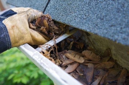 A fall tradition - cleaning the gutters of leaves. Here, we see them clogging the gutters of a traditional home. Could be used for advertising/clean up articles/etc. Narrow DOFの写真素材