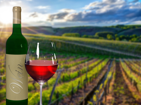 Wine growing area near WÃ¼rzburg in Franconiaの写真素材