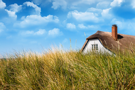 the baltic coast of germany in the summerの写真素材