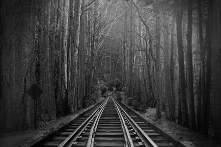 Black and White Photography of Train Tracks or Rail Roads in the Magical Fantasy Forest Woods.