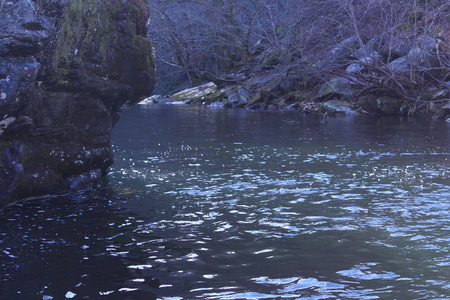 Deep River with Rocky Cliffs with Moss and Lichen in the Deep Smoky Mountain Woods.の写真素材