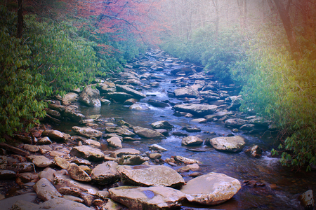 Late Day Sunset in the Forest over a Small Stream or River with Colorful Lights.の写真素材