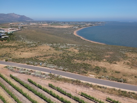 Aerial view of a lagoon and vineyardの写真素材