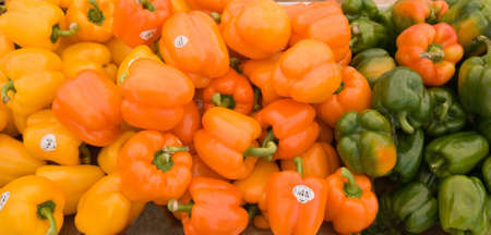 Orange, yellow and green bell peppers on an organic produce standの写真素材