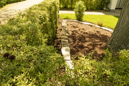 Garden design with beautiful hedge and small wall with garden and treeの写真素材