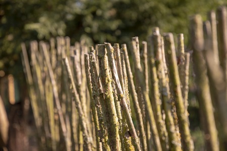 Fence around a plot of land made of untreated bars left in its natural stateの写真素材