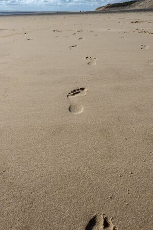 barefoot traces in the sand on the beachの写真素材
