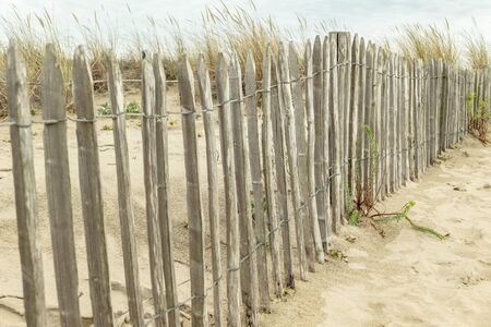 Dunes fortification on the Atlantic with coarse wooden fenceの写真素材