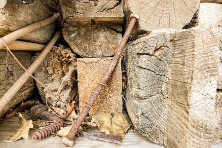 old rusty screw and old wood