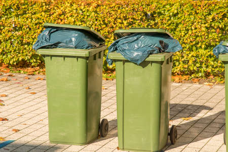 Plastic waste in the forest under autumn leavesの写真素材