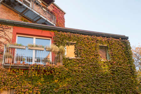 Pavement works with paving stones in the cityの写真素材