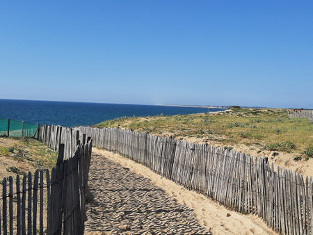 Old wooden plank footbridge leads over the duneの写真素材