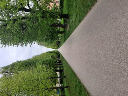 Young woman takes a deep breath and enjoys the sun in front of pink blossomの写真素材