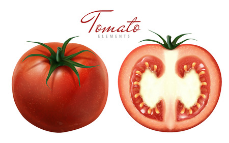 two tomatoes illustration, one sliced, white background 3d illustrationのイラスト素材