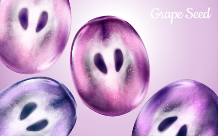 Grape fruit flesh and seed elements, can be used as design elements, pink background 3d illustrationのイラスト素材