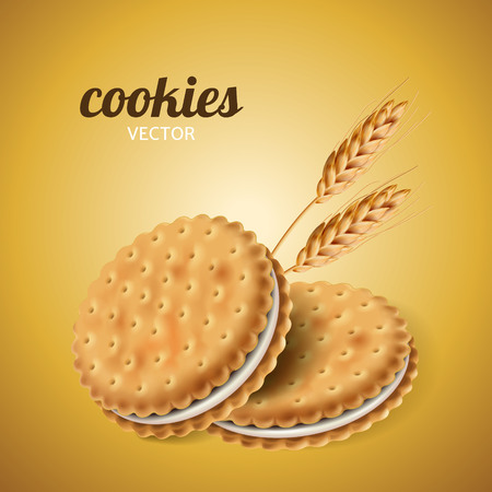 Sandwich cookies with wheat, isolated yellow background in 3d illustrationのイラスト素材