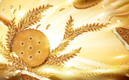 Round cracker and wheat background, delicious cookies element isolated on illuminated background, 3d illustrationのイラスト素材