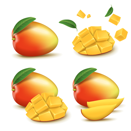 Fresh mango design elements, four different styles of fresh fruit in 3d illustrationのイラスト素材
