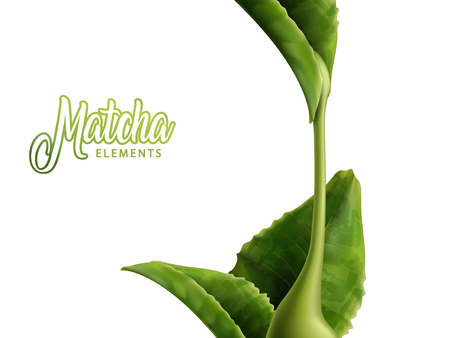 Matcha element with green leaves and sauce isolated on white background in 3d illustrationのイラスト素材